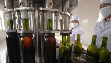 Tùy chỉnh máy Rượu rót / Rượu đóng chai Thiết bị / Rượu Chai Filler